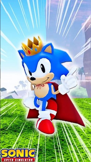 SONIC’S 34th BIRTHDAY! #sonic #roblox