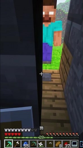 the best Minecraft security system #fromthefog