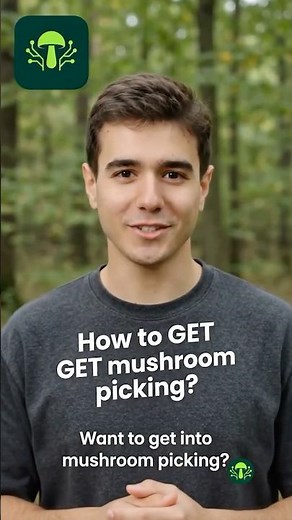 How to Start Mushroom Picking (The FAST Way!)
