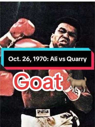 @boxinglover01 su TikTok