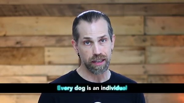 Dog Stress Signals Every Owner Should Know! Full Guide to Canine Body Language