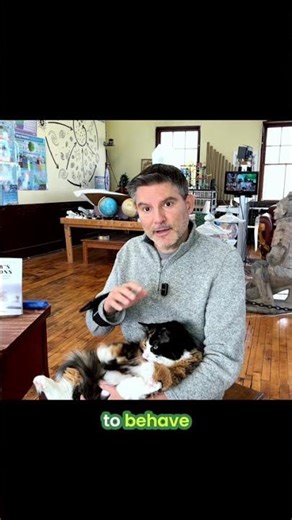 Is Entropy Creating Order? The Physics Cat Explains! #shorts