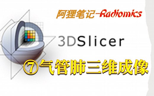 3D Slicer-气管、肺三维成像