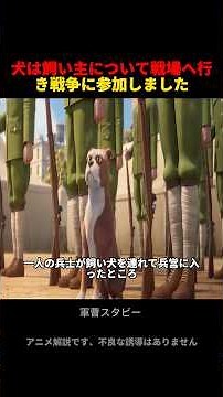 将軍は兵士が犬を連れて戦場へ向かい戦争に従軍することを許可しました #アニメ #映画red #anime