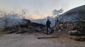 5.3K views · 57 reactions | Felix Fox on Reels | Facebook