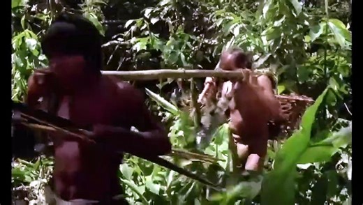 Green Inferno 1988 Four friends head into the jungle to locate a lost professor but instead face off