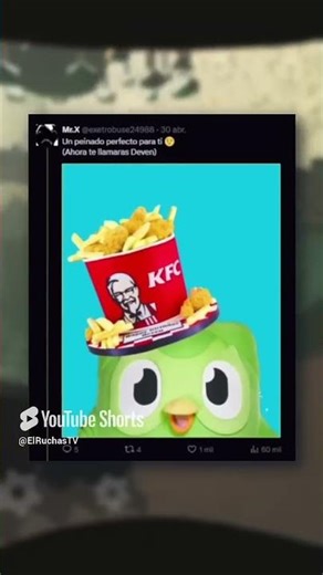 DUOLINGO Y SUS PEINADOS LOCOS #memes #memesdaily #memesvideo #humor