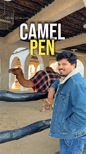 Qatar Nerampokk on Instagram: "A quiet corner near Souq Waqif where Qatar’s desert heritage comes alive 🐪✨ The Camel Pen offers a close look at these gentle giants, once the backbone of Bedouin life. A simple stop, but rich in culture, tradition, and stories from the past right in the heart of Doha. #qatarvloggers #qatarinfluencers #placestovisitinqatar #qatartourism"