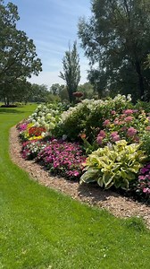 3.6K views · 114 reactions | Checking out some hydrangea varieties. | Bergeson Nursery | Facebook