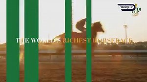 The $20 million Saudi Cup will be shown live on Racing TV extra on Saturday & Tacitus will bid to provide Khalid Abdullah with a memorable win 🐎 Get the inside track on the four-year-old plus listen to what Bob Baffert has to say about his 2 contenders >>https://www.racingtv.com/news/abdullah-s-tacitus-bidding-for-home-win-in-saudi-cup | Racing TV