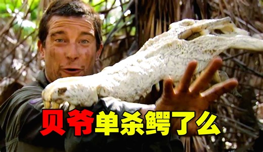 贝爷碳烤史前巨鳄 这就是国服野王的压迫感吗！《荒野求生》