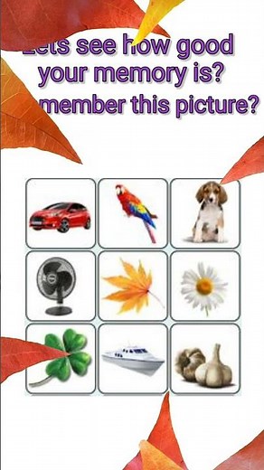 visual memory test #2