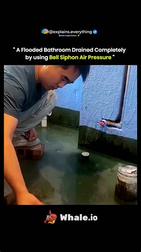 @dumbclips._ on Instagram: "a bell siphon works by combining gravity and air pressure to move water automatically once the level reaches a specific height. as water rises inside the system, it fills the siphon and forces air out, creating a pressure difference that rapidly pulls water through the pipe. once triggered, the flow continues at high speed without any mechanical parts or electricity, relying entirely on natural forces. the siphon stops when the water level drops low enough for air to 