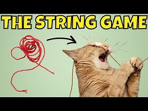 CAT GAMES | Catch the Yarn String 🧶 | Cat TV