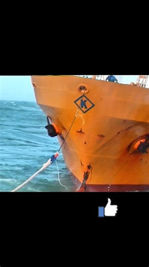 17K reactions · 922 shares | L’abeille, Flandre sauvetage en mer  #mer #peche | Petit Bateau Cotier | Facebook