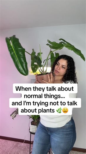 Ever meet someone who’s talking about normal everyday things and you’re internally fighting the urge to bring up your plants? 😅 Because why wouldn’t I want to explain my watering schedule, newest leaf unfurling, or why my Alocasia is being dramatic this week? Plant parents know the struggle—plants aren’t just a hobby, they’re a lifestyle. 🌿 If you’ve ever tried to act normal while your brain is screaming “THIS WOULD RELATE PERFECTLY TO MY PLANTS,” this one’s for you. #planttok #plantparent #pl