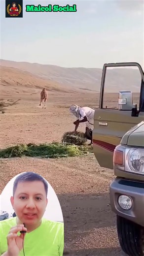 Este hombre salva Camellos en el Desierto , Su misión silenciosa en medio del Desierto #desierto #camello #heroes #humanidad #naturaleza