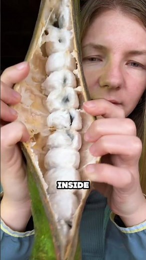 A Unique Fruit from Ecuador😱