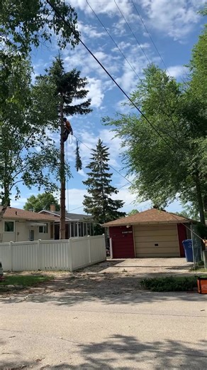 324K views · 2.3K reactions | The Southwood Tree Service team showing why this speedline lives up to its name. If you've never set up a speedline before, you don't know how fast and easy it can make your job. Pick yours up today  treestuff.com/notch-speedline-kit  Southwood Tree Service | TreeStuff.com | Facebook