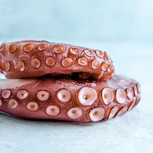 Buy Octopus Online | Next Day Delivery – The Fish Society