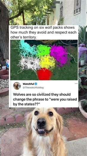 Is real could take notes