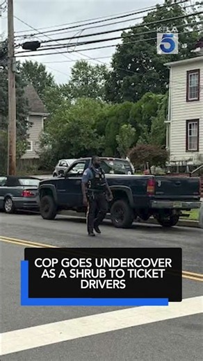 Cop goes undercover as a shrub to ticket drivers