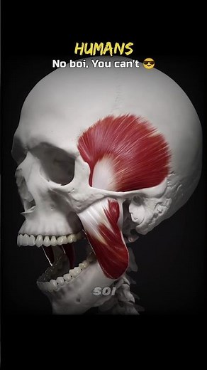 Virus Attack vs Silent Protectors 💀🤫 #Shorts #Biology #Virus #HumanBody #Organs #Earth