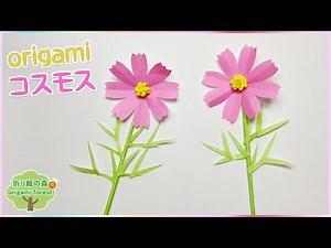 【折り紙秋】折り紙コスモス 折り紙で秋の花を作りました origami cosmos