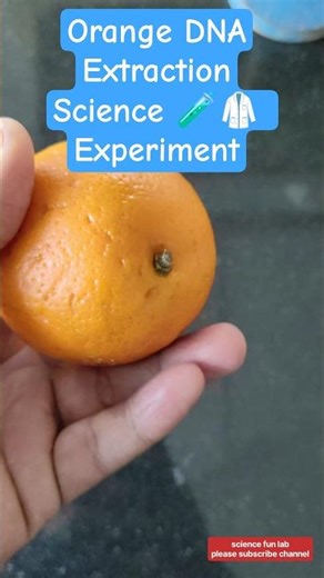 orange DNA extraction biology science experiment #shorts #biology #chemistry #physics
