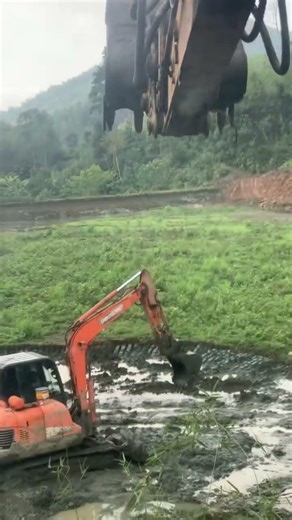 ngày 29 tháng 1, 2026