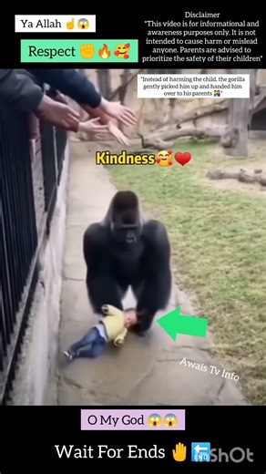 MashAllah ☝️😇 Respect #status Greatest Save 😍#shorts #short