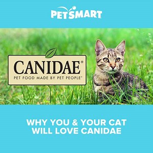 18 reactions | Canidae® is now available at PetSmart! Treats™ members earn points on all Canidae® purchases. | PetSmart | Facebook