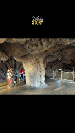 Videos de Rolando Núñez (@nery.pereira21) con “Fuera del mercado - Danny Ocean”