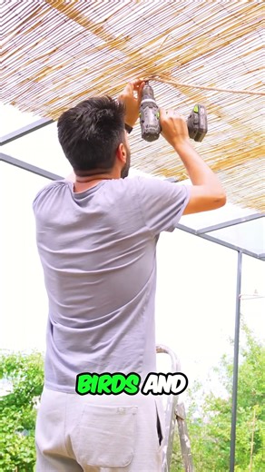 DIY Rope Perch for Your Aviary