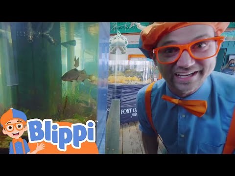 À la découverte des animaux sous-marins avec Blippi | Les Enfants Apprennent Le Français