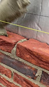 30K views · 459 reactions | ......My work brickying evry day.... #reels #bricklayer#reelsfb #reelsinstagram #brickworkout | Bricklayer | Facebook