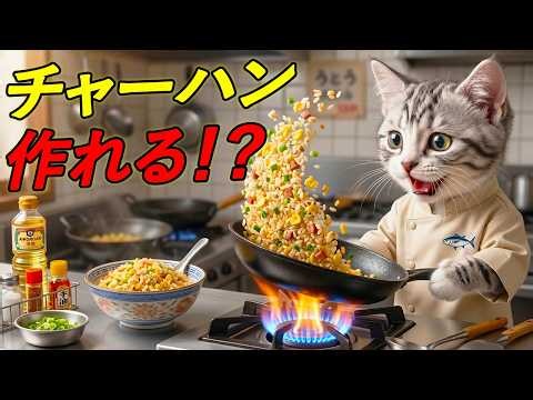 【大逆転】料理人になった猫のNeko、大失敗から“チャーハン職人”へ覚醒！？🍤🔥🐱