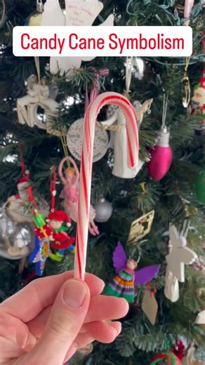 The Religion Teacher on Instagram: "🟥⬜️ Candy Cane Symbolism Have you ever wondered what a candy cane symbolizes for Christmas? The shape has two meanings: It represents a shepherds crook (or staff) for Jesus the Good Shepherd or to represent the shepherds in the fields who first heard about the birth of Christ. Flip it over and the candy cane looks like a J to represent “Jesus,” the Savior of the world. As for the colors: The red represents the blood of Jesus’s passion and death on the Cross.