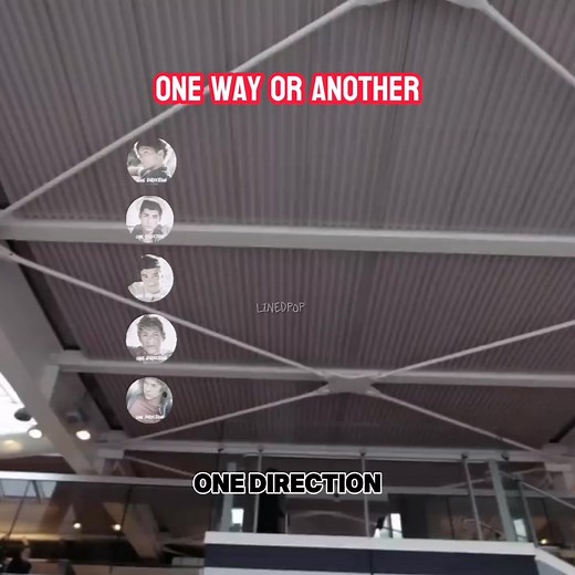 One Direction One Way or Another Line Distribution