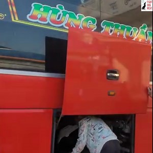 215K views · 7.7K reactions | VIETNAM: PASSENGER BUS WITH DOGS...