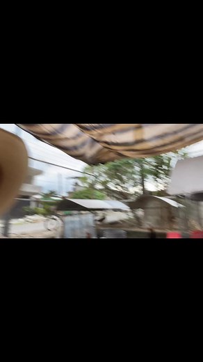 Excelente tarde mis amigos, como les va , dijera don miguelon 🤪 que haciendo ? 🍀 #gallerode♥️ | Taurino Alfonso Bernabé Gutierrez