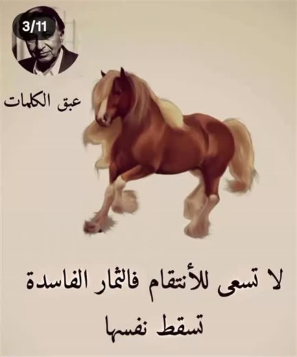 Instagram video by Adel ibrahim • Feb 13, 2026 at 8:28 AM