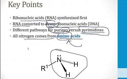 USMLE Step 1/Boards and Beyond/Biochemistry