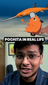 AnimeTm Talks on Instagram: "Scientists just named a million-year-old shark after Chainsaw Man’s Pochita. Meet Pochitaserra patriciacanalae — proof that even paleontology watches anime. #chainsawman #pochita #pochitaserra #shark #science #scientist #anime #manga"