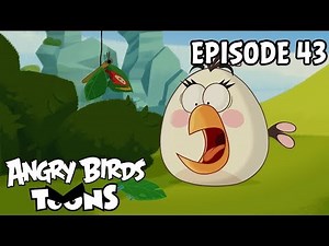 Angry Birds Toons - The Butterfly Effect - S1 Ep43
