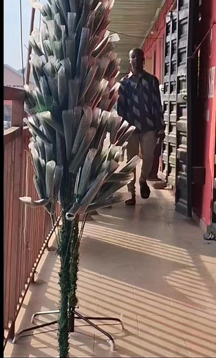 Christmas feels complete — we got our tree 🎄#Christmastree loving the Joy . | Icon Recipes