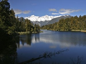 History of Nursing in New Zealand