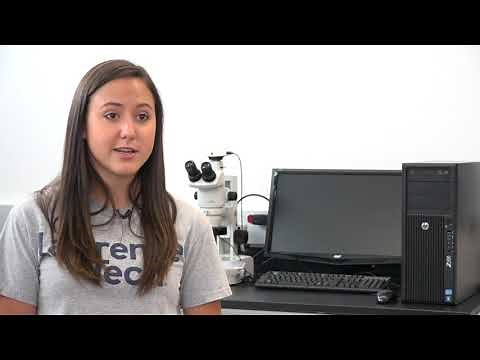 Samantha's Internships in Biomedical Engineering