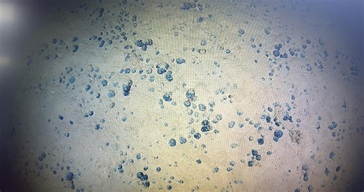 New Autonomous Vehicle Helps Advance Understanding of the Deep Ocean and its Critical Minerals - NOAA Ocean Exploration