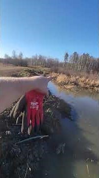 Gizmo Pond Leveler (Alternative Beaver Tool)